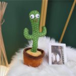 parrot cactus that can sing and dance 2