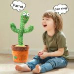 parrot cactus that can sing and dance 3