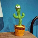 parrot cactus that can sing and dance 4