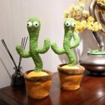 parrot cactus that can sing and dance 5