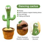 parrot cactus that can sing and dance 6