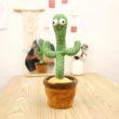 spike the cactus 6