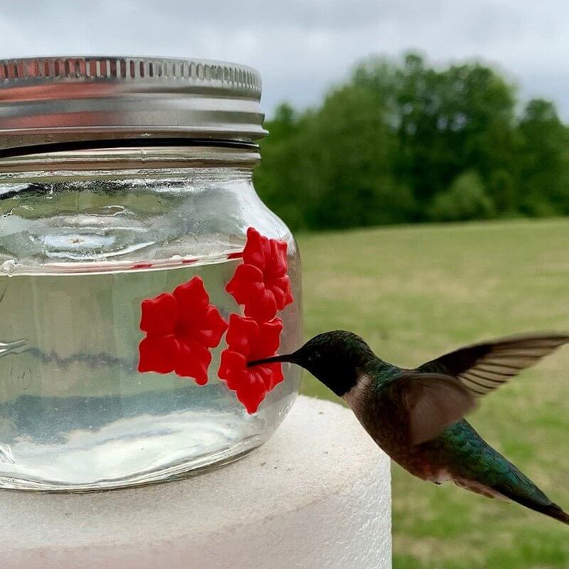 beautiful mason jar hummingbird feeder wthree ports4op2b
