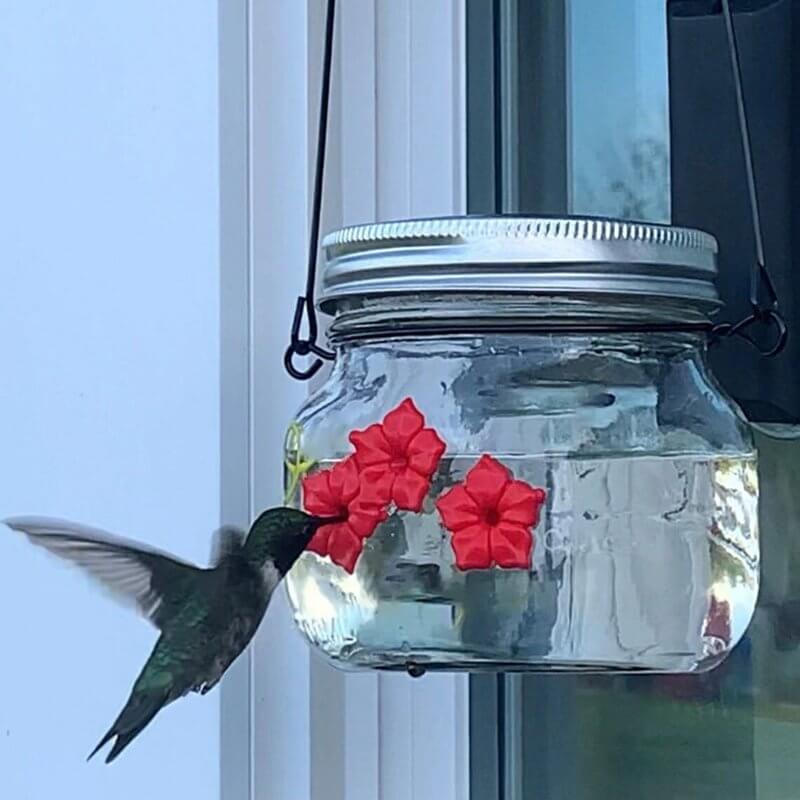beautiful mason jar hummingbird feeder wthree portsejzu2
