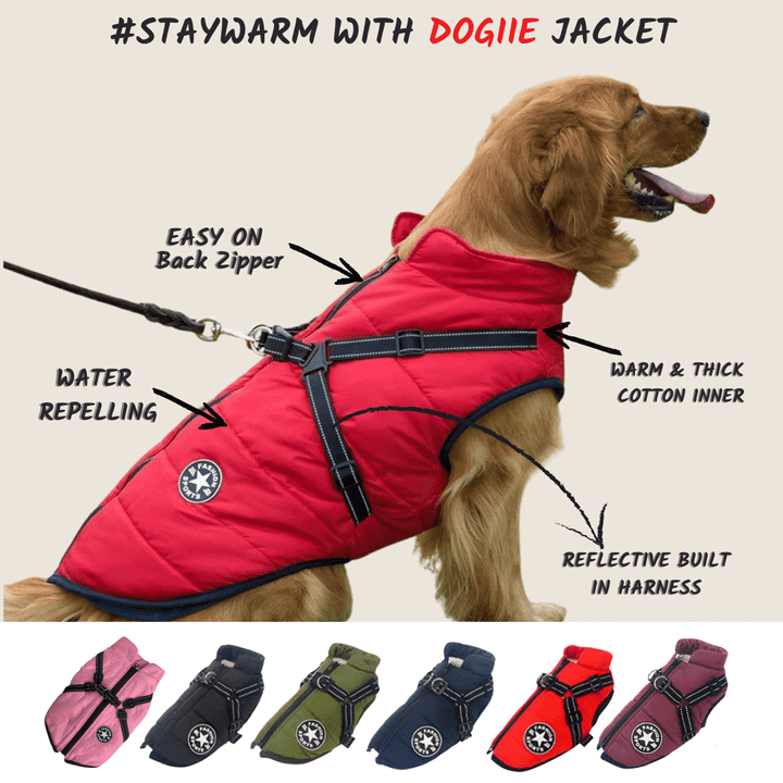 waterproof winter dog jacket with builtin harnessioacc