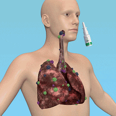 breathe right organic herbal lung cleanse repair respiratory nasal spray pro inoyi