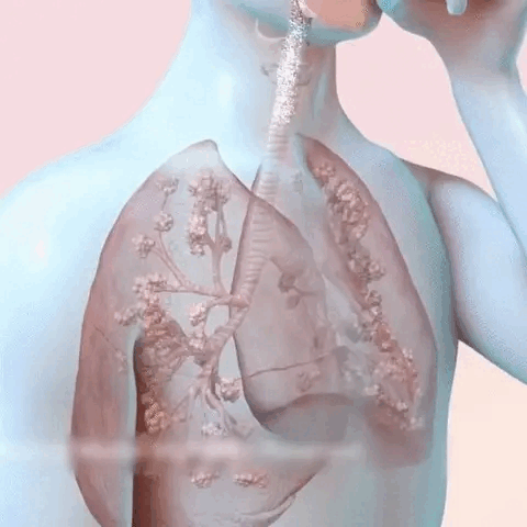 breathe right organic herbal lung cleanse repair respiratory nasal spray pro knfij